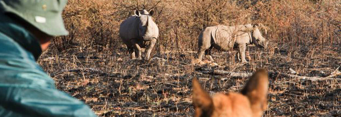 Farm & Anti-Poaching Security